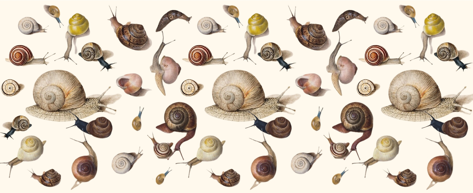 How One Snail Inspired Two Novels on Two Different Continents