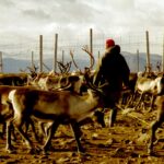 On the Complexities of Navigating Indigenous Life in a Relentlessly Modern World