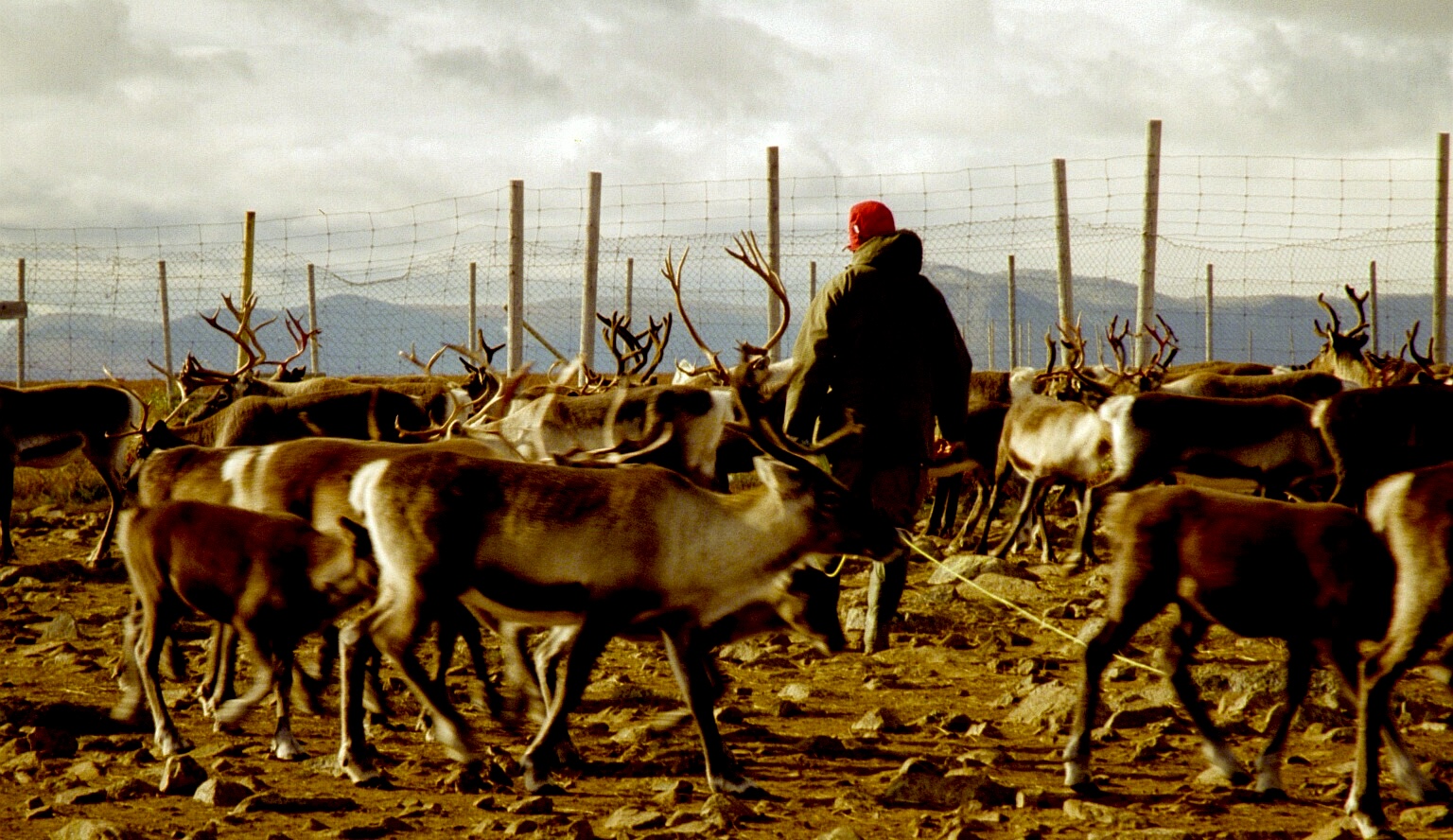 On the Complexities of Navigating Indigenous Life in a Relentlessly Modern World