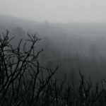 “Horror Movie Where We Survive,” a Poem by Maya Salameh