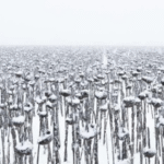 “This Simple Machine,” a Poem By Daniel Moysaenko