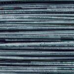 “Dispatch From a New York Times Article the Day Mary Oliver Died.” A Poem by Megan Gannon