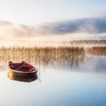 One great poem to read today: Marie Howe’s “You Think This Happened Only Once and Long Ago”