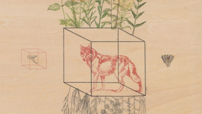 Break to Sing: Seven New Poetry Collections to Read in July