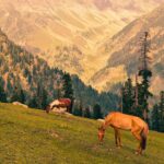 “when the army comes, the men disappear…” New Poetry by Fatimah Asghar