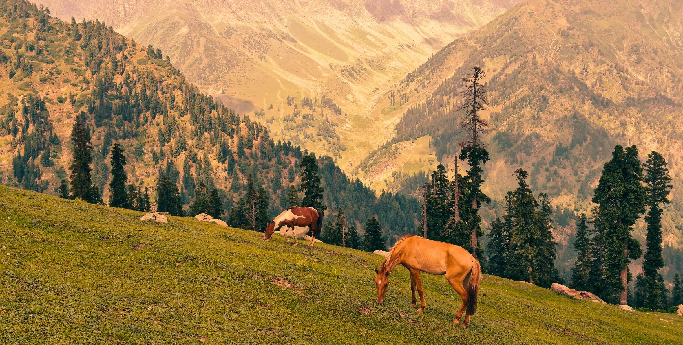 “when the army comes, the men disappear…” New Poetry by Fatimah Asghar