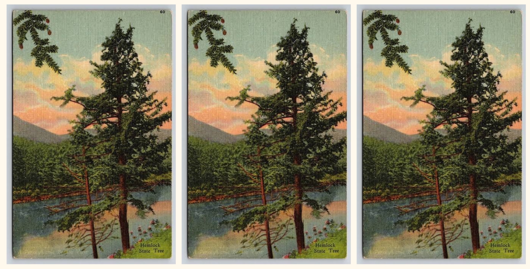 “Hemlock, 1956,” a Poem by Victoria Chang