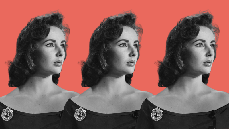 Six Novels That Try to Keep Up With Elizabeth Taylor