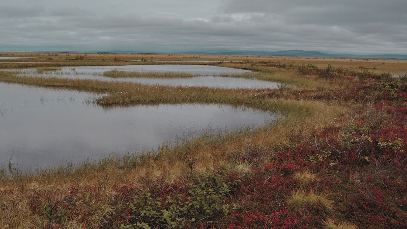 What Peatlands Can Teach Us About Time
