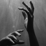 Embodied, Unbodied, and the Body Destroyed: Five Books About the Body