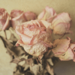 Nine Books of Poetry About Breakups (and Awakenings)