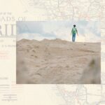 Here is the Cover For All This Beauty, a New Anthology of Florida Writing