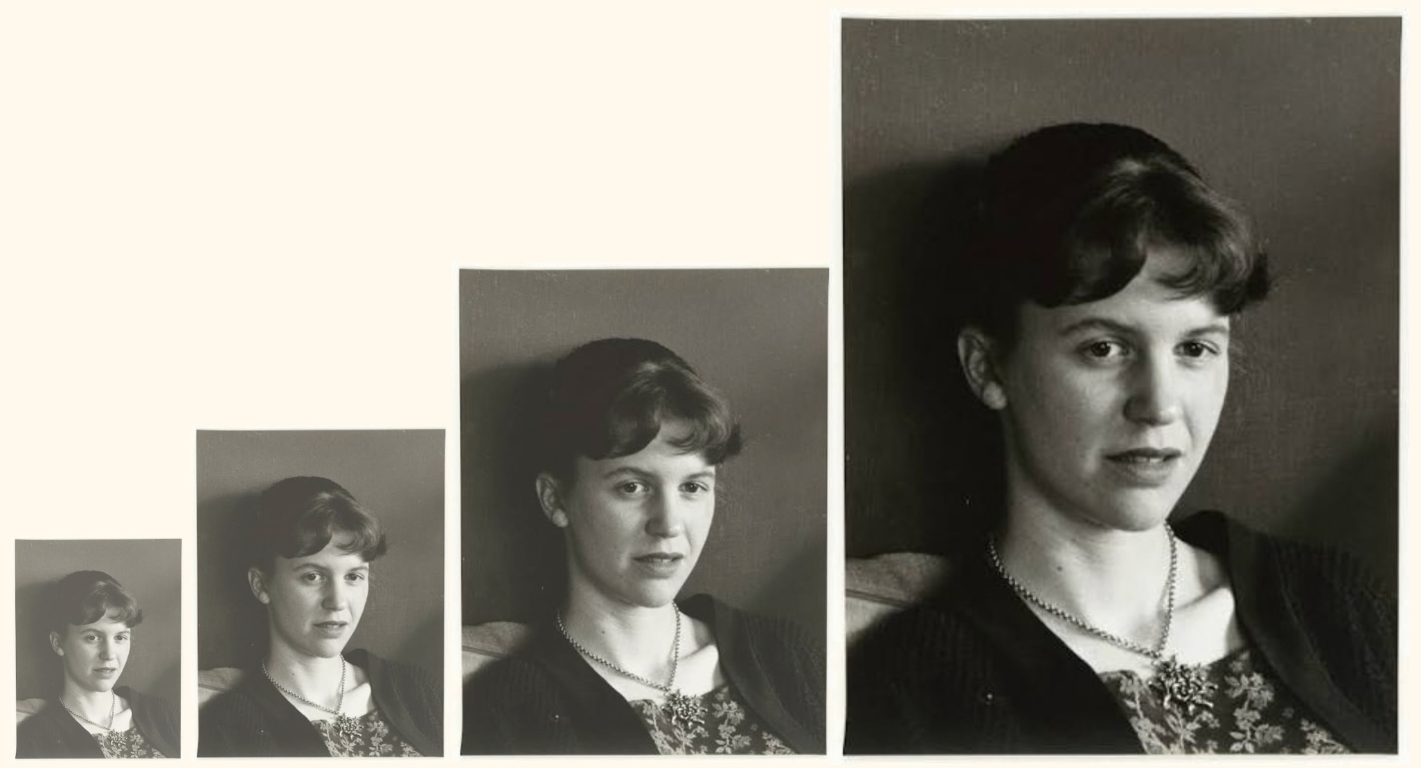 On the Life-and-Death Cycles at the Heart of Sylvia Plath’s Work