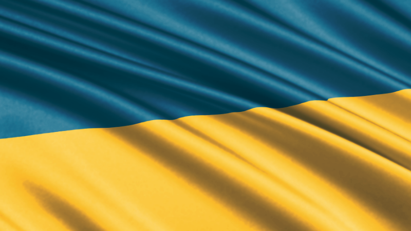 Writing in Times of War: Oleksandr Mykhed on Losing Ukrainian Books to Russian Bombs