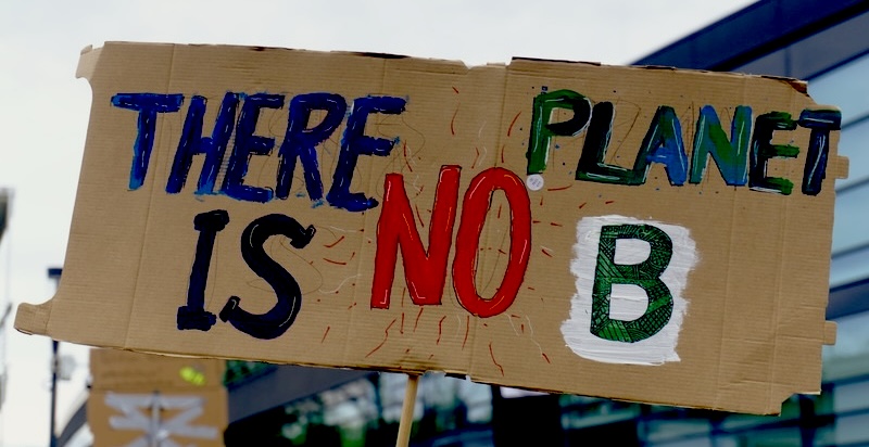 Leah C. Stokes Talks Activism, Democracy and the Struggle For the Earth with Bill McKibben