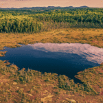 On the Unlikely Beauty (and Hidden Danger) of a Bogland
