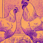 Why the Broiler Chicken Is the True Symbol of the Anthropocene