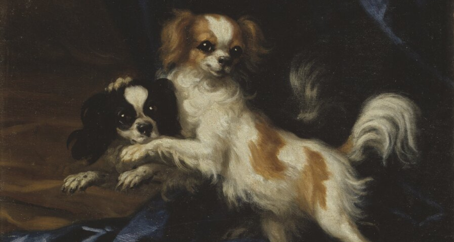 Tiny, Furry Friends: A Short History of Small Dogs in European Art